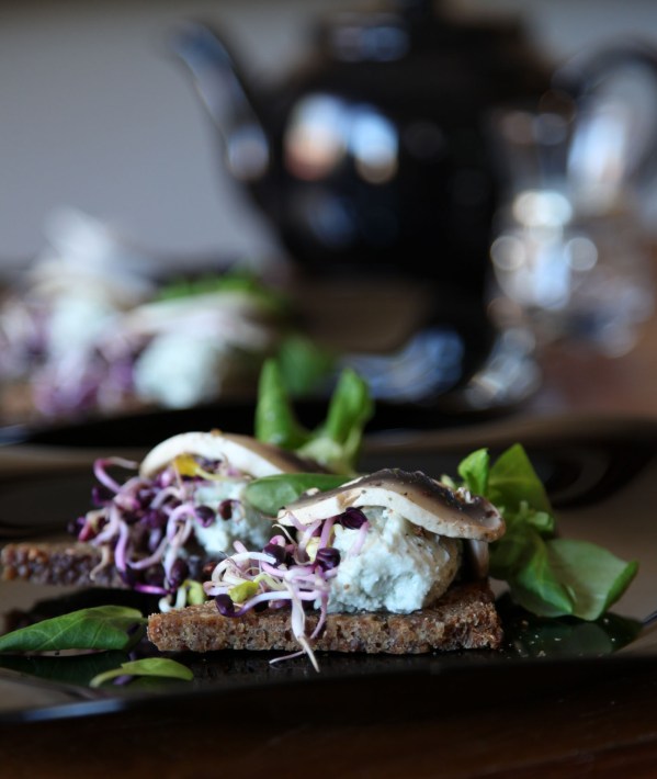 IMG_7803rokfortosgomasfalatka4