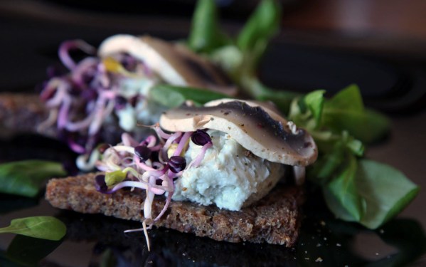 IMG_7811rokfortosgombasfalatka