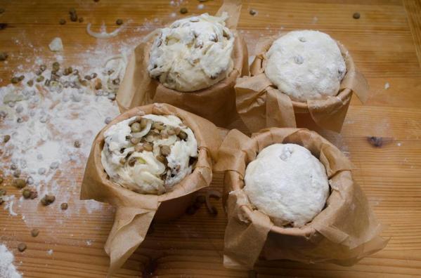 1472233_10200315409326720_1519124543_n